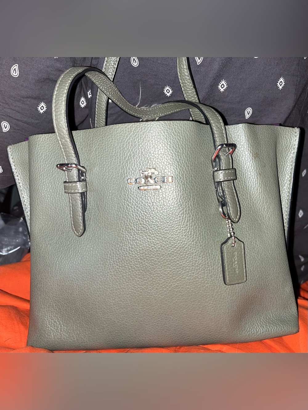 Coach Olive Mini Green Leather Tote